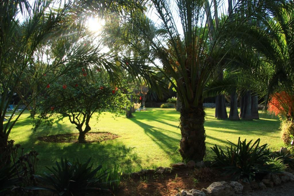 Finca Hotel Predio Son Serra Can Picafort  Eksteriør bilde